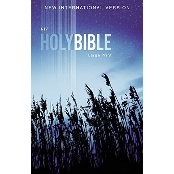 Pre-Owned Outreach Bible-NIV (Paperback) 0310446376 9780310446378