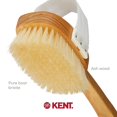 thumbnail image 5 of Kent FD3 Luxury Beechwood Body Scrubbing Exfoliating Bath/Shower Brush with 100% Pure White Bristle. Long Handle with Detachable Head, Wet/Dry Back and Skin Brushing, Body Exfoliator. Made in England, 5 of 6
