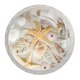 thumbnail image 1 of Newzone Paquete de 4 pomos para cajones de aparador, diseño de conchas marinas en una playa de arena, forma redonda, pomos de cristal, tiradores para cocina, armario, puerta, herrajes con tornillos de, 1 of 1