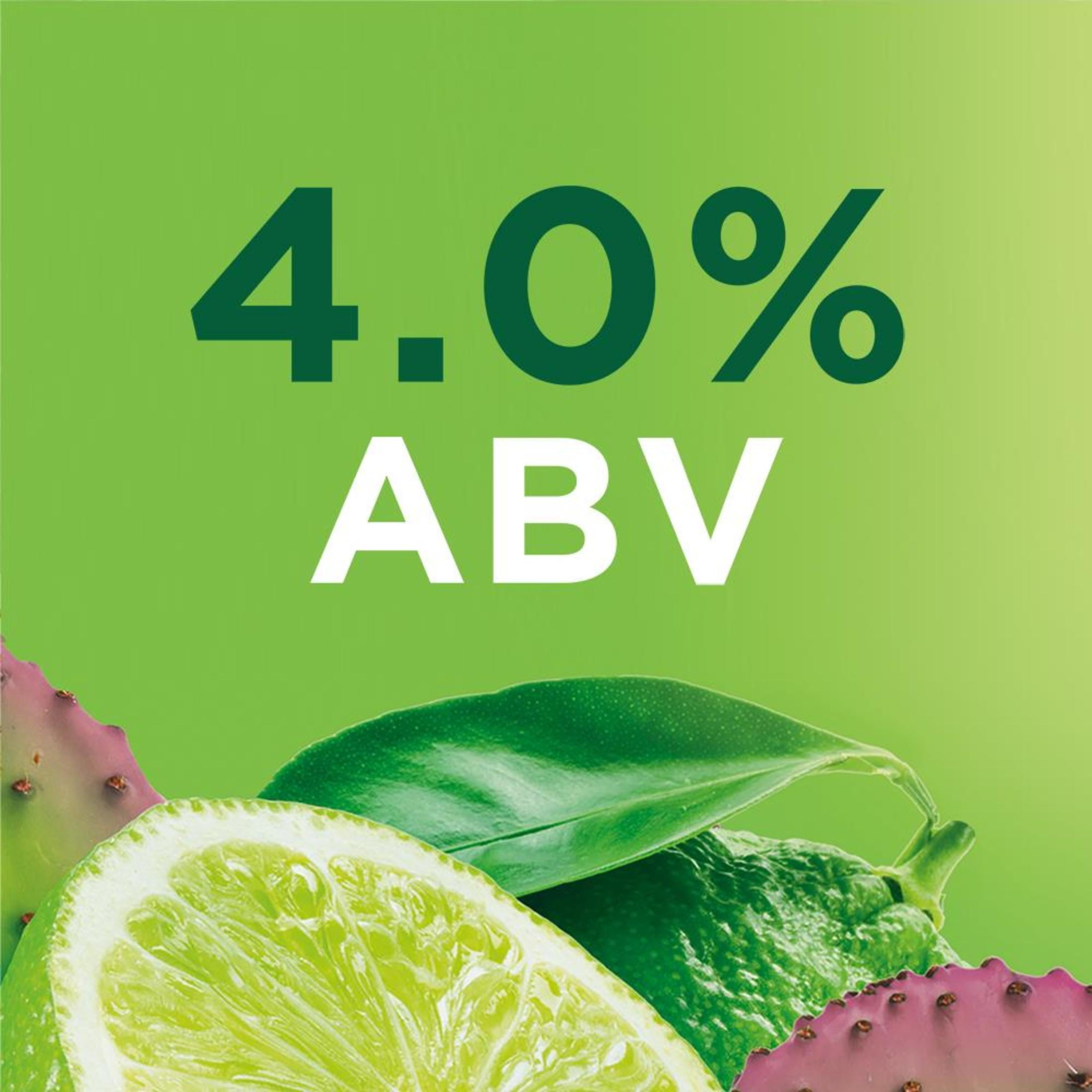 Michelob ULTRA  Lime Cactus American  Beer 12 pack 12 fl oz Aluminum Cans 4% ABV
