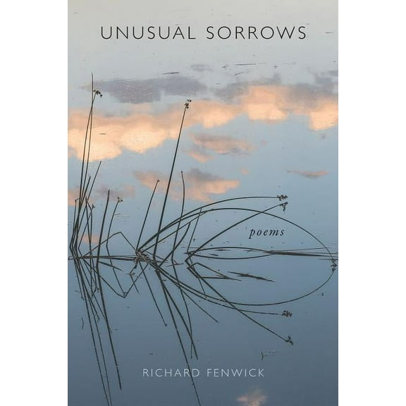 Unusual Sorrows (Paperback)