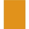 Neon Orange PosterBoard - 22"" x 28"" Case Pack 50