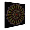 thumbnail image 2 of Trademark Fine Art 'Kaleidoscope Mandala' Canvas Art by Delyth Angharad, 2 of 3