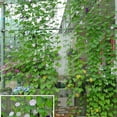 Plant Climbing Net Home and Garden Net Green Bean Pole Trellis Grow Net