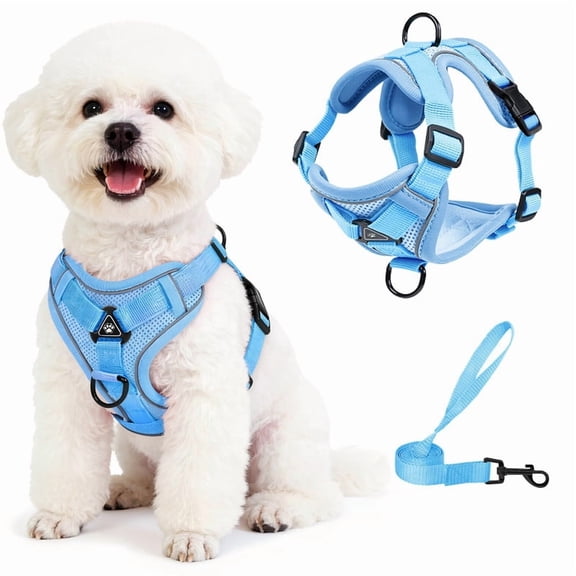 Exclusivo Mezcla Pet Harness and Leash Set, Adjustable Reflective Walking Dog Harness for Small Dogs, No Pull Soft Mesh Puppy Harness, Blue, M