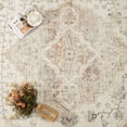 thumbnail image 7 of FEELHOME 5'x7' Area Rug Machine Washable Soft Vintage Distressed Non Slip Carpet for Living Room Bedroom Dining Room Taupe, 7 of 7