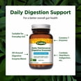 thumbnail image 4 of Flora Daily Maintenance Digestive Enzymes - Contains 7 Enzymes for Digestive Health Support - Aids Gas & Bloating - Non-GMO & Gluten-Free - 60 Vegetarian Capsules, 4 of 7