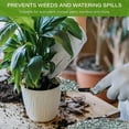 thumbnail image 3 of 20lb Green Zeolite for Plants, 3/8" Natural Succulent Potting Soil Amendments, Decorative Gravel for Cactus, Bonsai Gritty Rock, Pebbles Pumice for Vase Fillers, Top Dressing, 3 of 12