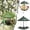 Green, variant on Bird Feeder for Outdoor Hanging Garden Yard Decoration Durable Squirrel Proof with Weather and Easy Cleaning