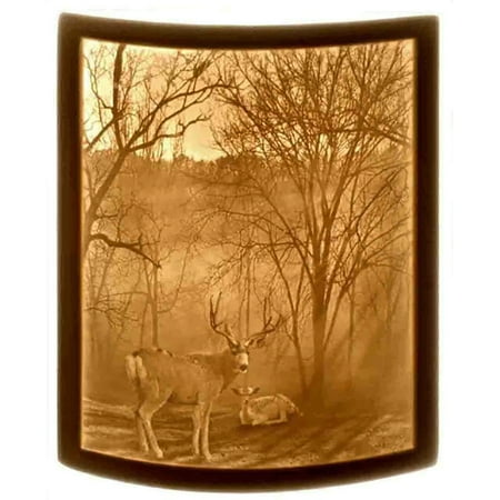 

Curved Night Light - Porcelain Lithophane Night Light