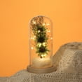 thumbnail image 4 of Flower Glass Cover Dried Flower Sesame Flower Home Desktop Decoration Led Night Light Gift, 4 of 5