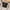 Black, variant on Isvgxsz Small Crossbody Wallet Phone Bag Women Mini Crossbody Purse Cell Phone Shoulder Bag Mini Wallet Over Shoulder Strap