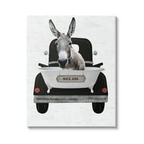 Stupell Industries Nice A** Donkey Phrase Animals & Insects Painting Gallery Wrapped Canvas Print Wall Art, 30 x 40