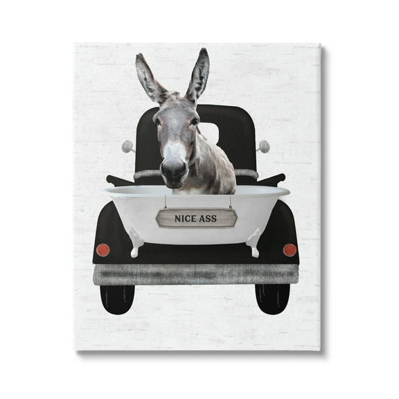Stupell Industries Nice A** Donkey Phrase Animals & Insects Painting Gallery Wrapped Canvas Print Wall Art, 16 x 20