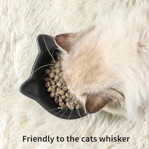 Slanted Elevated Cat Bowls: 5 Inch Ceramic Raised Cat Food Bowl for Protecting Pet's Spine - Microwave & Dishwasher Safe -Matte Black (4.5 OZ /1 PC)