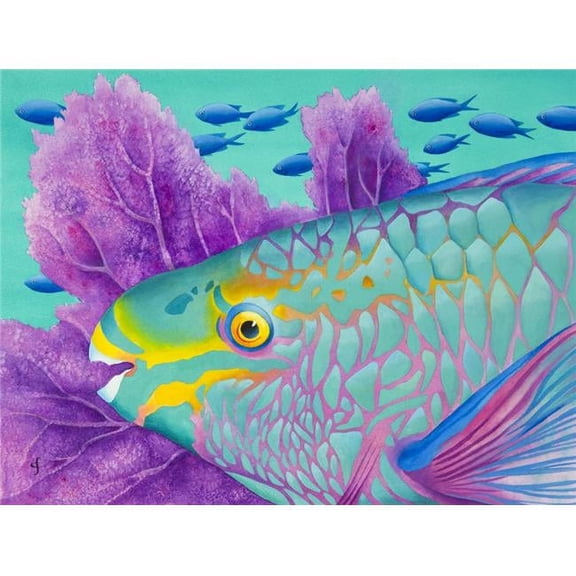 Parrotfish Poster Print by Carolyn Steele