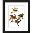 thumbnail image 2 of Audubon: Bunting, 1827, Animals Framed Art Print Wall Art by John James Audubon, 2 of 4
