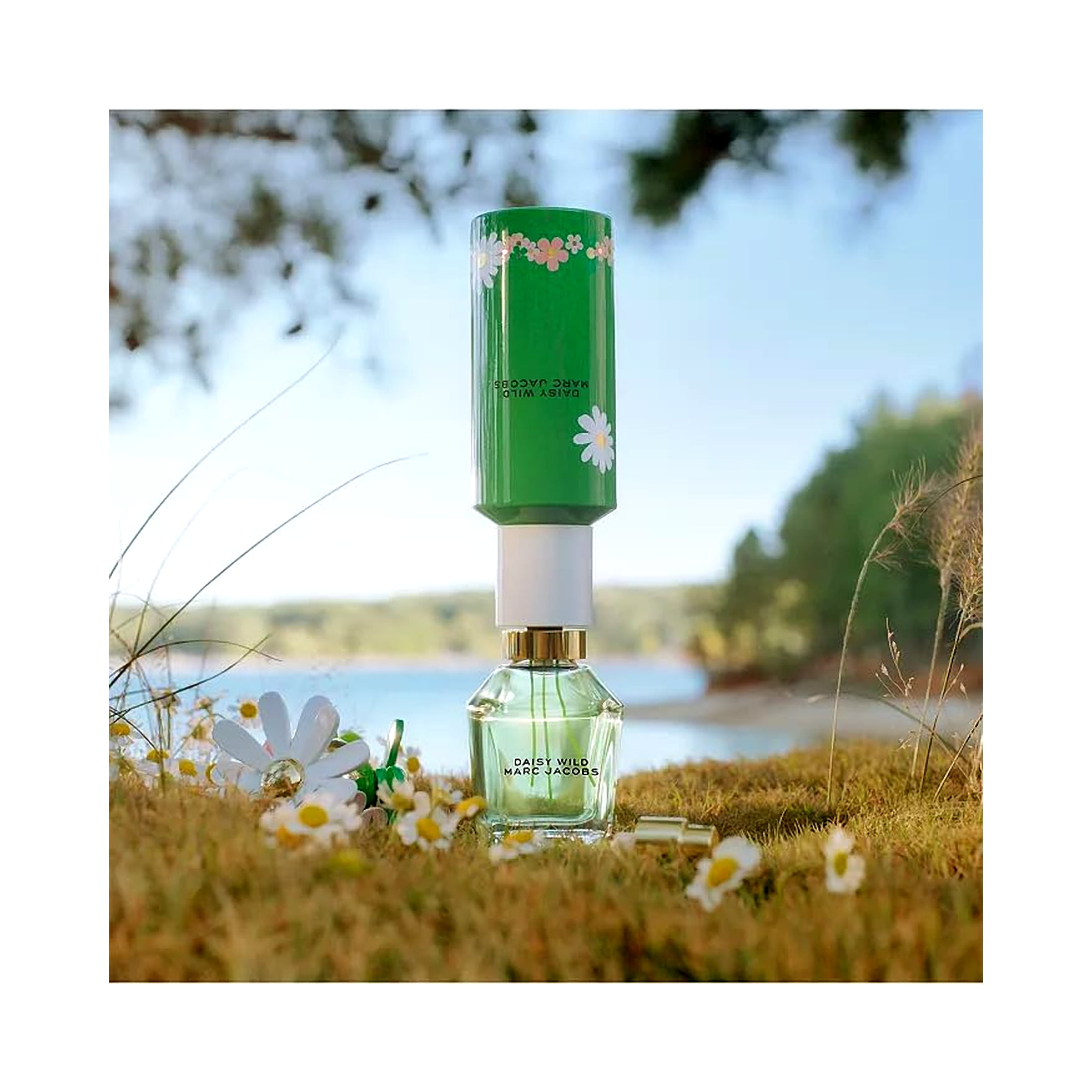 MARC JACOBS DAISY WILD 香水 Daisy Wild