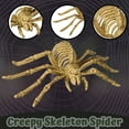 thumbnail image 3 of (4) Halloween Spider Skeleton, 10-in. Creepy Realistic Crawling Bone Collection Spiders Haunted House Patio Yard Props Home Office Party Decor DIY Supplies & CUSTOM Storage Carrier, 3 of 7