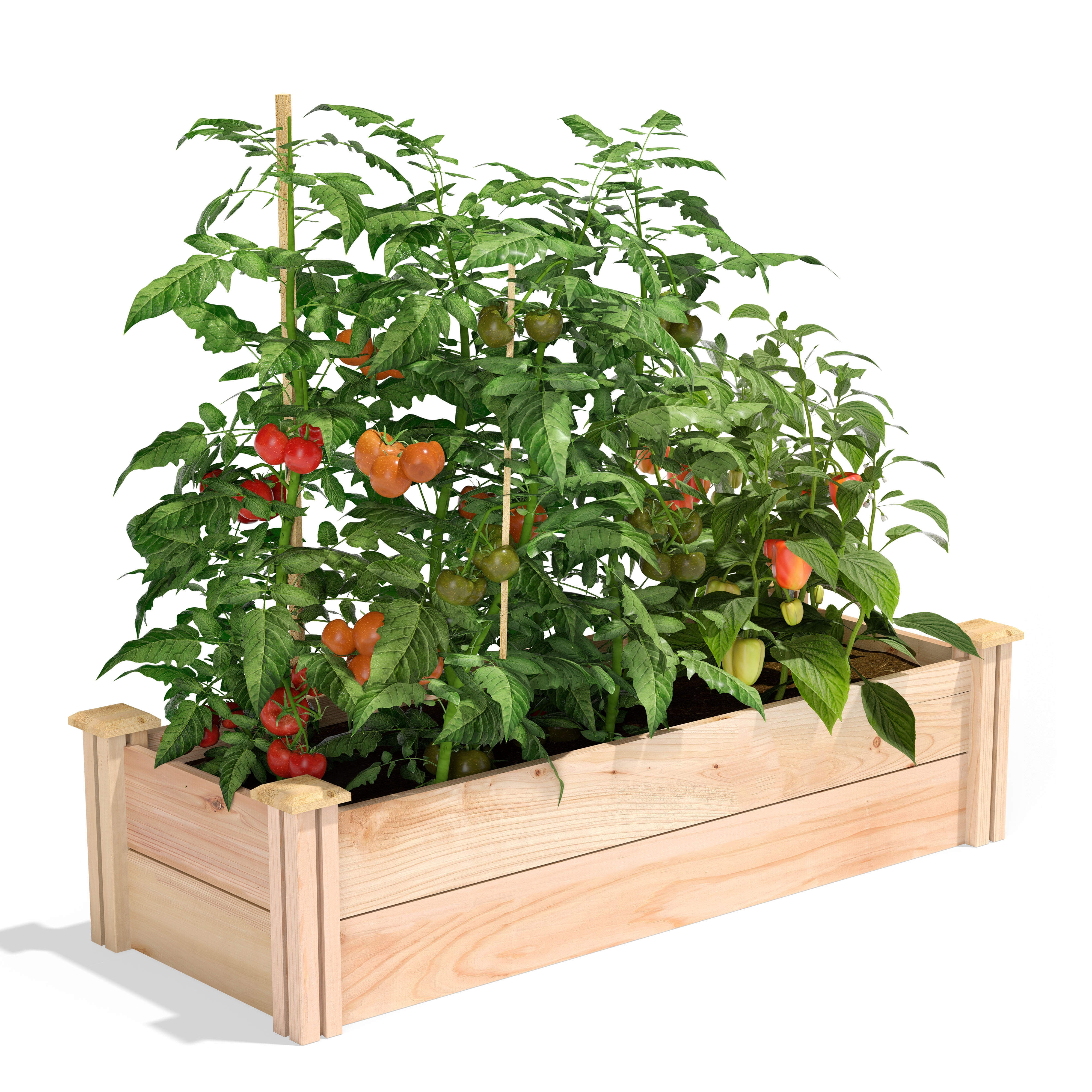 Greenes Fence 16 X 48 X 11 Premium Cedar Raised Garden Bed