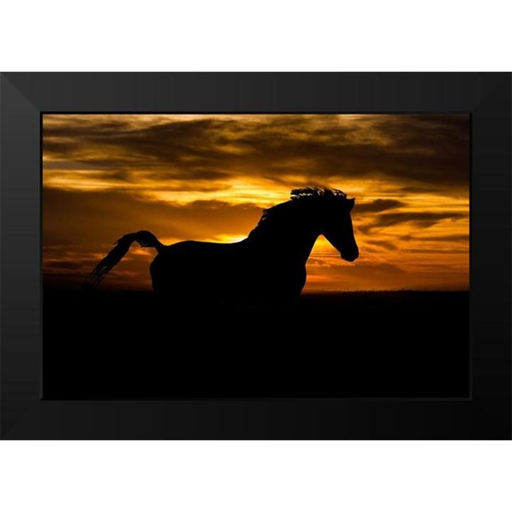 The Yellowstone Collection 14x11 Black Modern Framed Museum Art Print Titled - Sunset Shadow
