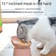 thumbnail image 1 of Cuenco para gatos con boca oblicua y patas altas, protección para el cuello de 15 cm, cuenco de arroz para gatos, cuenco para comida para perros, cuenco antigolpes para comida para gatos,, 1 of 4