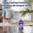 thumbnail image 3 of Fabuloso Original Multi-Purpose Cleaner, Powerful Cleaning, Long-Lasting Freshness, No Rinse Floor Cleaner, Lavender Scent, 1.65 L, 3 of 9
