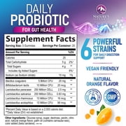 Probiotic Gummies - 6 Premium Probiotic Strains - Daily Gut Health Pro Biotic Gummy Supplement for Women, Men & Teens, Natural Digestive Health Support, “Good” Gut & Immune Support - 60 Gummies