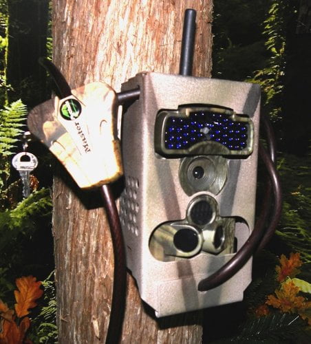 game camera lock