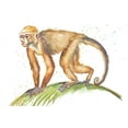 thumbnail image 2 of Pinto, Patricia 18x13 White Modern Wood Framed Museum Art Print Titled - Monkeys in the Jungle II, 2 of 4