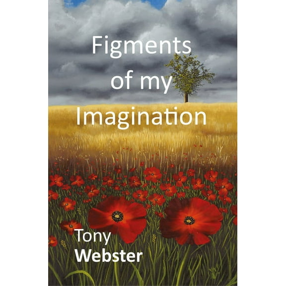 Figments of My Imagination, (Paperback)