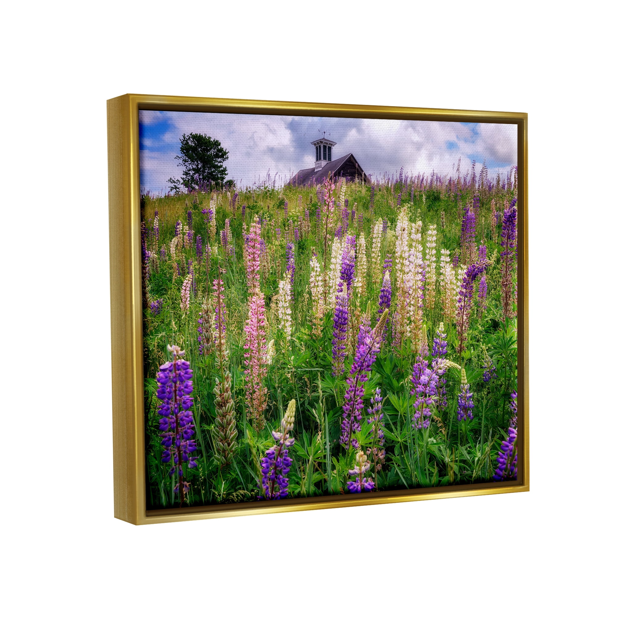Stupell Wild Lavender Field Grassland Landscape Photography Gold Floater Framed Art Print Wall Art