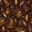 Color 2, variant on Gothic Peel and Stick Wallpaper Whimsical Night Forest Glowing Mushrooms Crescent Moon Wall Mural 17.7in x 9.8ft Self Adhesive Removable Wall Paper Renter Friendly Wallpaper for Bedroom