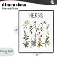 thumbnail image 4 of Stupell Industries Traditional Herbs Identification Chart Black Framed Giclee Art, 11 x 14, by Carol Robinson, 4 of 8