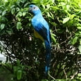 thumbnail image 2 of 2 Pcs Artificial Macaw Parrot Bird Model Animal Children, 2 of 7