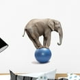 thumbnail image 1 of African Elephant Blue Ball Wall Mural Decal by Wallmonkeys Vinyl Peel and Stick Graphic (18 in H x 18 in W), 1 of 4