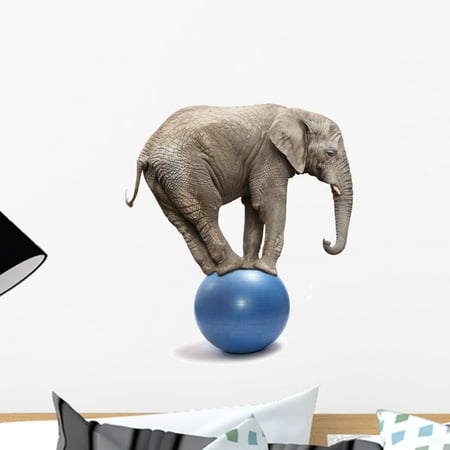 African Elephant Blue Ball Wall Mural Decal by Wallmonkeys Vinyl Peel and Stick Graphic (18 in H x 18 in W)