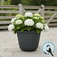 thumbnail image 2 of Lark & Vine Kensington Resin Planter, Durable and Light Weight, 15.9" x 15.9" x 12.6", Black, Set of 2, 2 of 7
