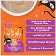 thumbnail image 6 of (12 pack) Tiki Cat Friends Mousse Chicken, Pumpkin & Duck Recipe in Broth, 2.5 oz. Pouch, 6 of 10