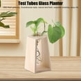 thumbnail image 4 of Desktop Plant Terrarium, Glass Test Tube Planter Propagation Multipurpose Innovative Hand Crafted Desktop Plant Terrarium For Hydroponic Plants, 4 of 8