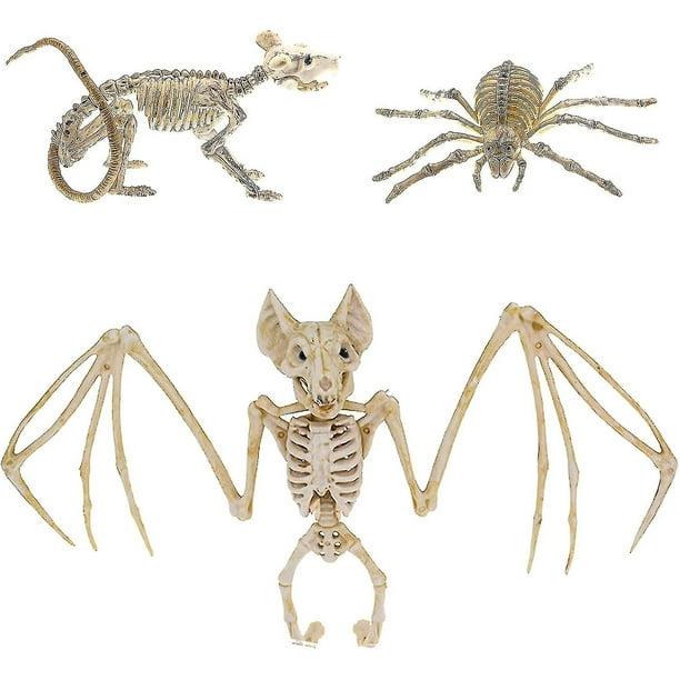 piezas Esqueleto de murciélago de Halloween Esqueleto de araña de Halloween Esqueleto de ratón de Halloween Huesos de animales aterradores Huesos de murciélago realistas Decoraciones de Halloween A