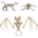 thumbnail image 1 of piezas Esqueleto de murciélago de Halloween Esqueleto de araña de Halloween Esqueleto de ratón de Halloween Huesos de animales aterradores Huesos de murciélago realistas Decoraciones de Halloween A, 1 of 4