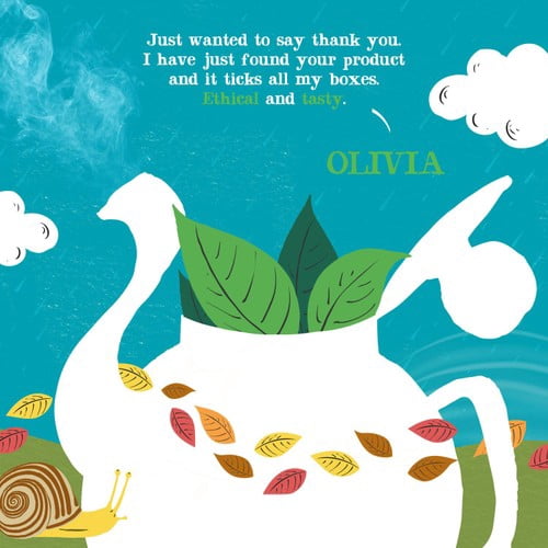 Clipper Organic Fairtrade Green Tea Bags 20's, British Import (Pack of 3)