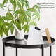 thumbnail image 4 of Regadera Interior, Regadera Pequeña A Prueba De Herrumbre Regadera De Alta Capacidad Regadera De Acero Inoxidable Con Pico Largo Mango De Madera Para Suculentas Bonsai Garden, 4 of 7