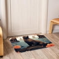 thumbnail image 6 of Sea Lion Non-Slip Polyester Door Rugs, Kitchen Rug, Chair Mat - Machine Washable Area Floor Carpet, 6 of 6