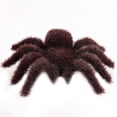 thumbnail image 1 of Halloween Decoration 4.5*3.7 Inch Artificial Realistic Scary Hairy Model Halloween Props Decor For Outdoor Indoor Home Party Prop Educational Learning Toys, 1 of 4