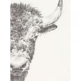 thumbnail image 2 of Harper, Ethan 19x24 White Modern Wood Framed Museum Art Print Titled - Graphite Bison Portrait II, 2 of 4
