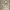 Ivory/Dark Brown, variant on SAFAVIEH Chelsea Aragon Geometric Borders Wool Area Rug, Ivory/Dark Blue, 2'6" x 4'