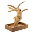thumbnail image 2 of Prevue Pet Products Coffeawood Java Tree Minis X-Small Table Top Playstand 22632, 2 of 4