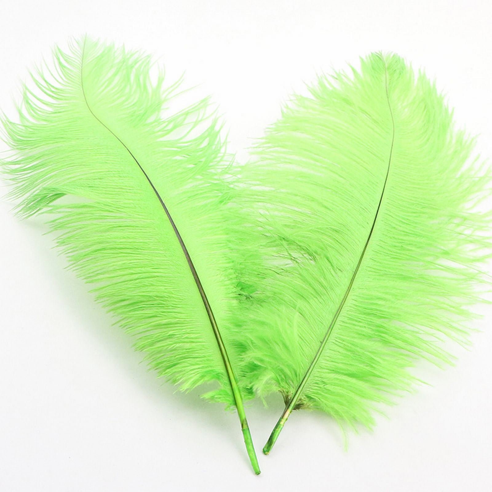 Lime Green Feather Floral Decorative Accent Amazon.com: Ballinger Lime Green Ostrich Feathers - 24Pcs 8  main image 2